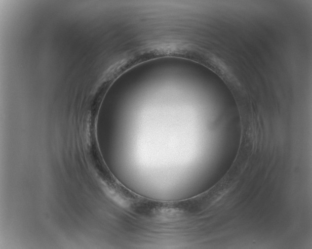 X0000080170590200612151925