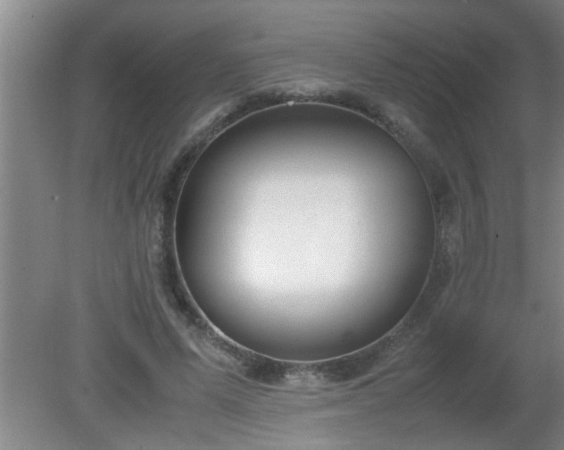 X0000080170591200612151925