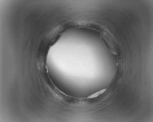 X0000080170593200612151925