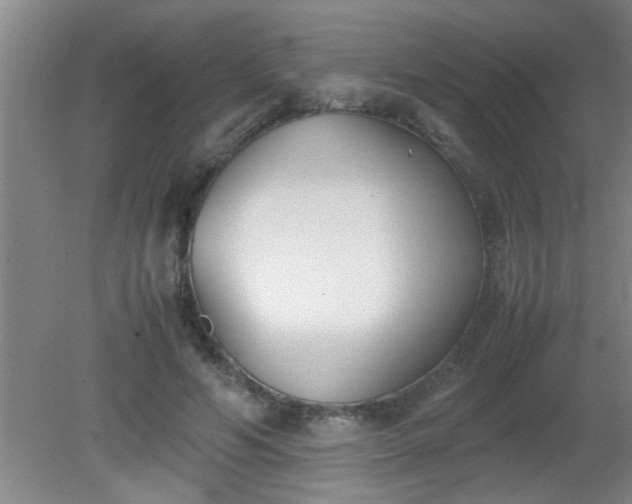X0000080170594200612151924