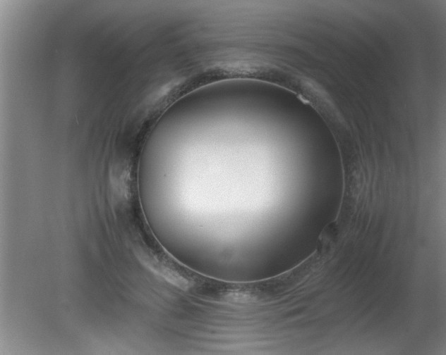 X0000080170596200612151924
