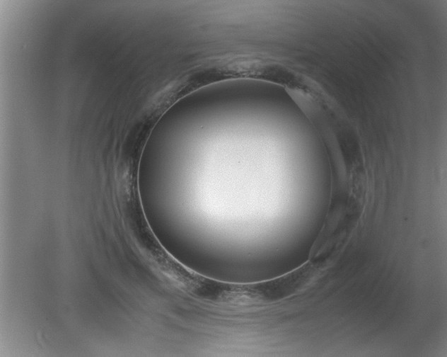 X0000080170597200612151924