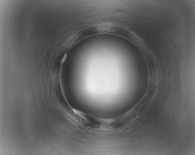 X0000080170601200612151924