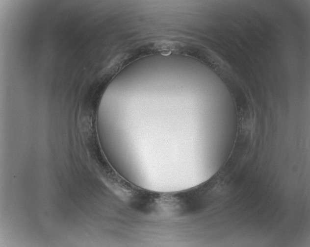 X0000080170603200612151924