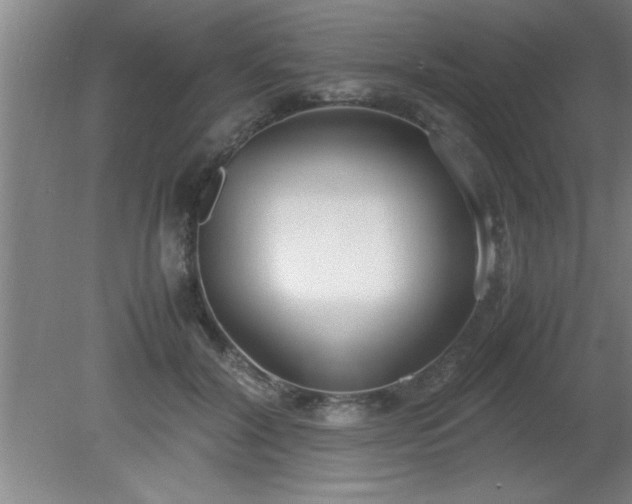 X0000080170604200612151924