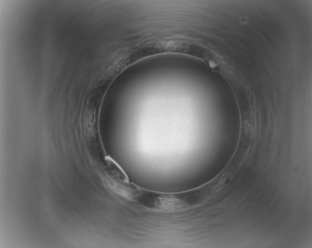 X0000080170605200612151924