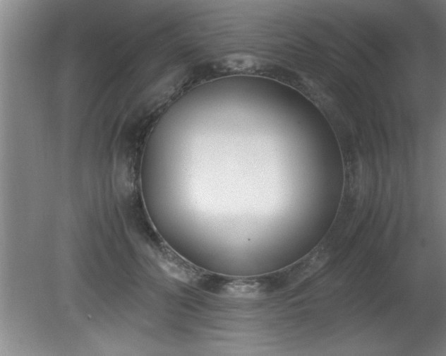 X0000080170606200612151924