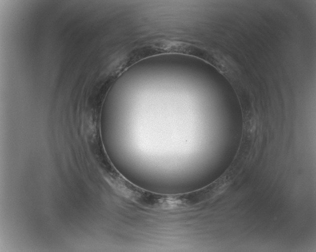 X0000080170607200612151924