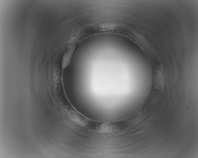 X0000080170608200612151924