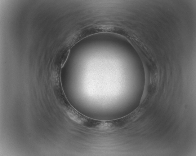 X0000080170609200612151924