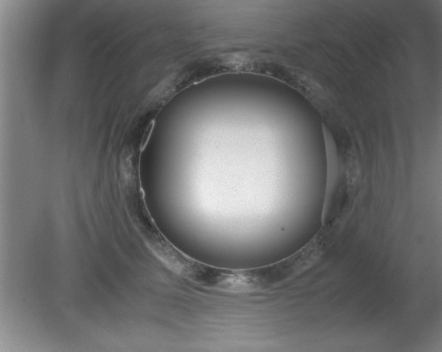 X0000080170611200612151924