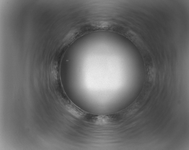 X0000080170612200612151924