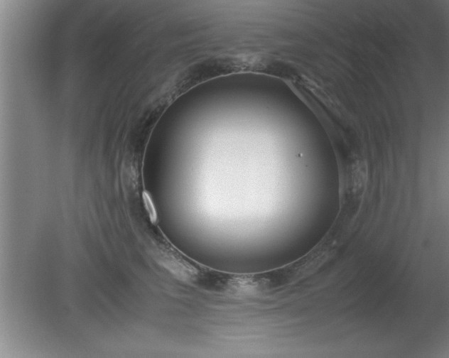 X0000080170613200612151924