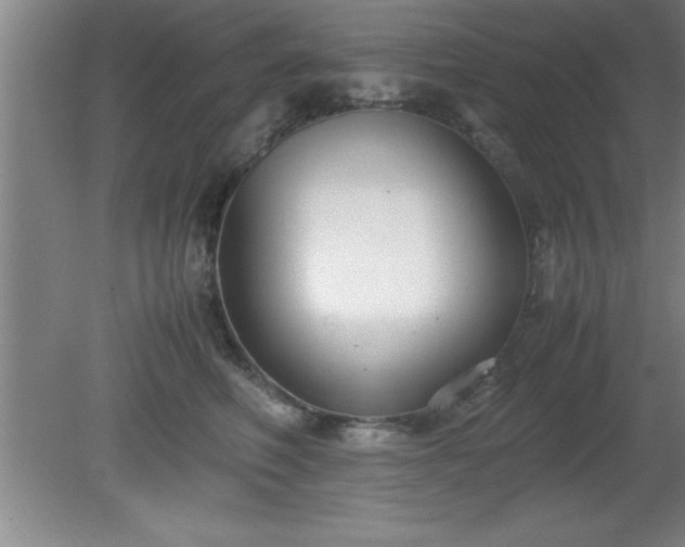 X0000080170614200612151924