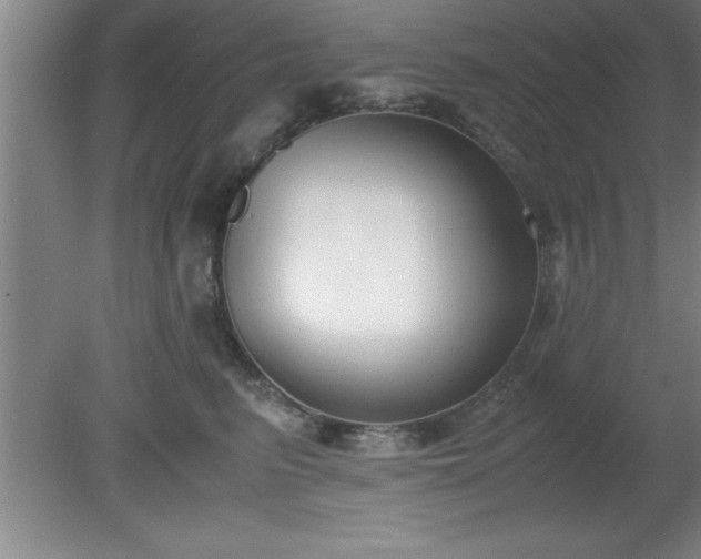 X0000080170615200612151924