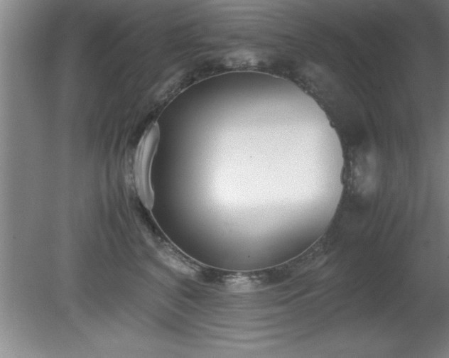X0000080170616200612151924