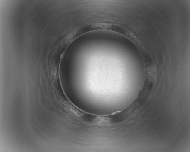 X0000080170617200612151924