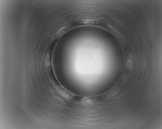 X0000080170620200612151924