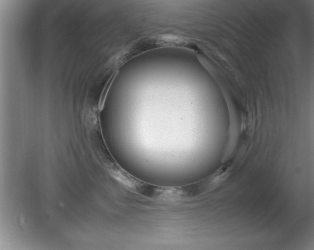 X0000080170621200612151924