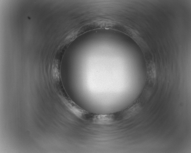 X0000080170622200612151924