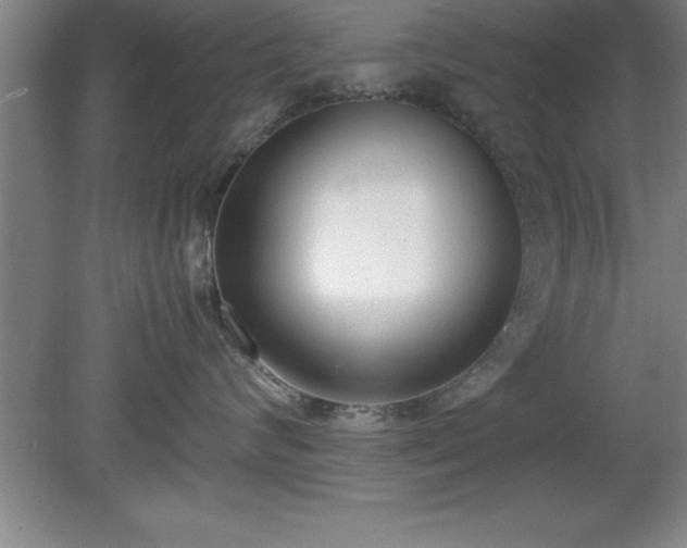 X0000080170624200612151924