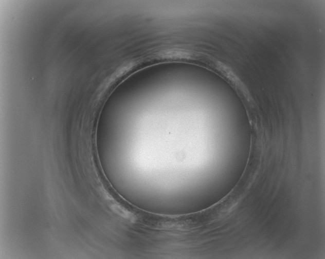 X0000080170625200612151923