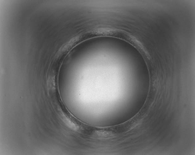 X0000080170633200612151923