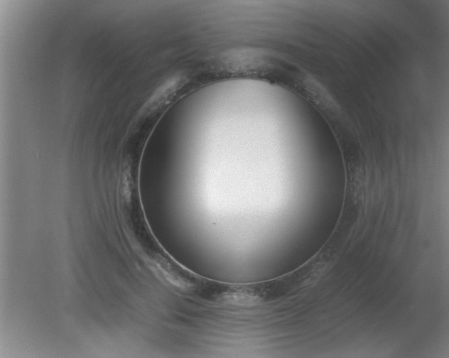 X0000080170644200612151923