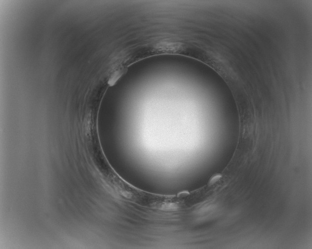 X0000080170647200612151924