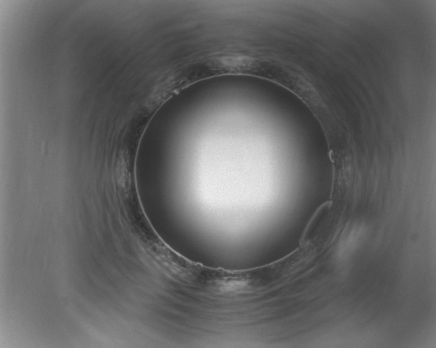 X0000080170651200612151924