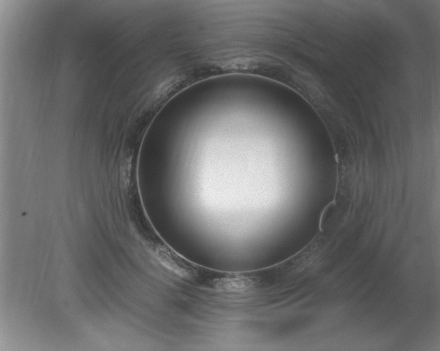 X0000080170652200612151924