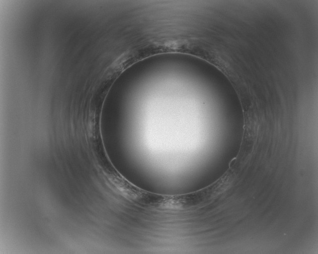 X0000080170656200612151924