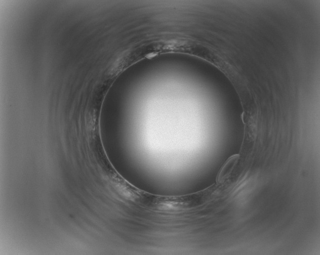 X0000080170657200612151924