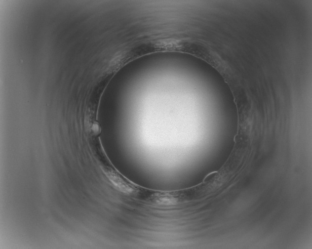 X0000080170658200612151924