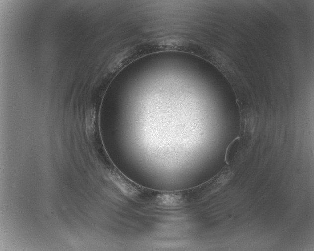 X0000080170660200612151924
