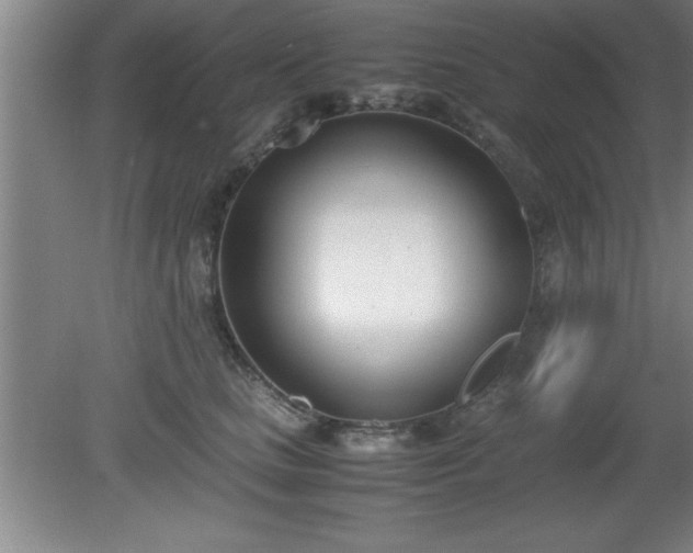 X0000080170661200612151924
