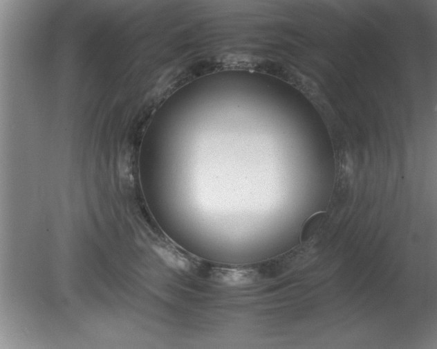X0000080170663200612151924