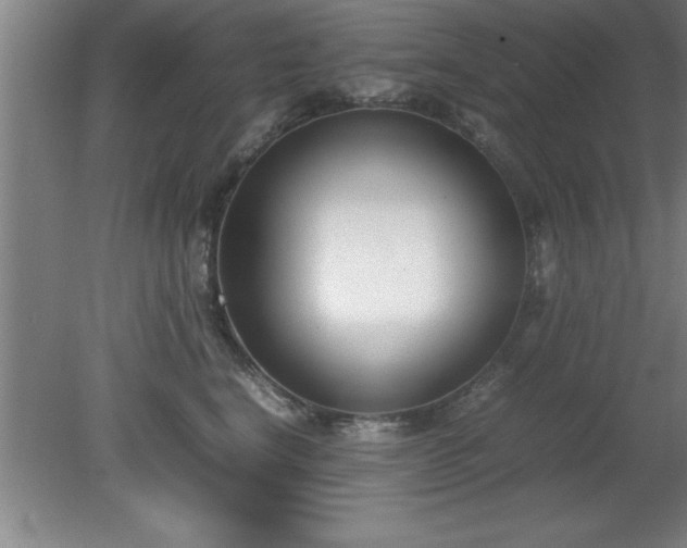 X0000080170664200612151924