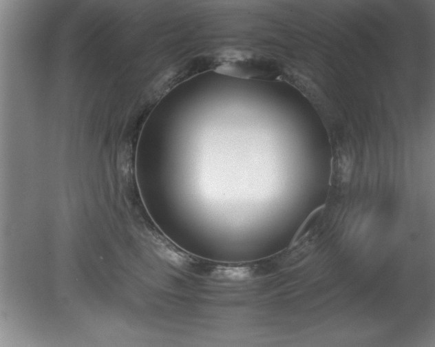 X0000080170665200612151924