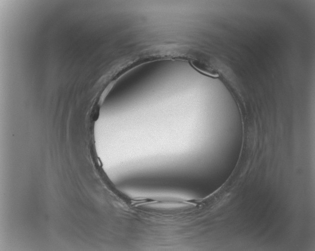 X0000080170673200612151923