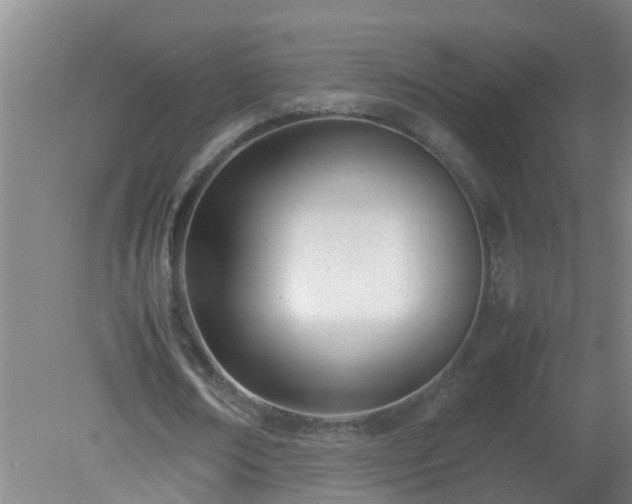 X0000080170674200612151923