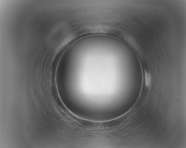 X0000080170675200612151923