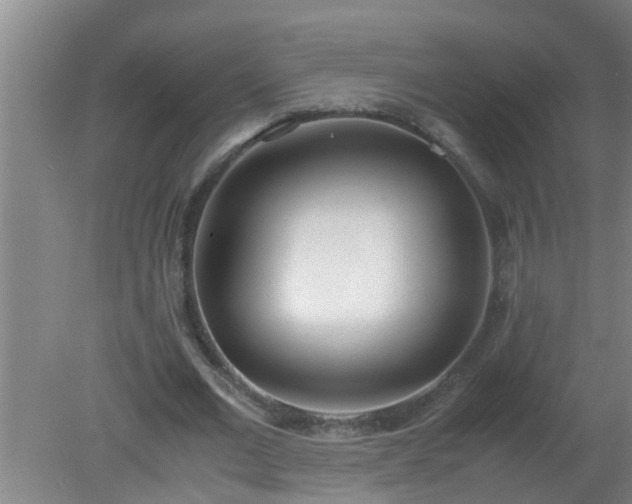 X0000080170677200612151923