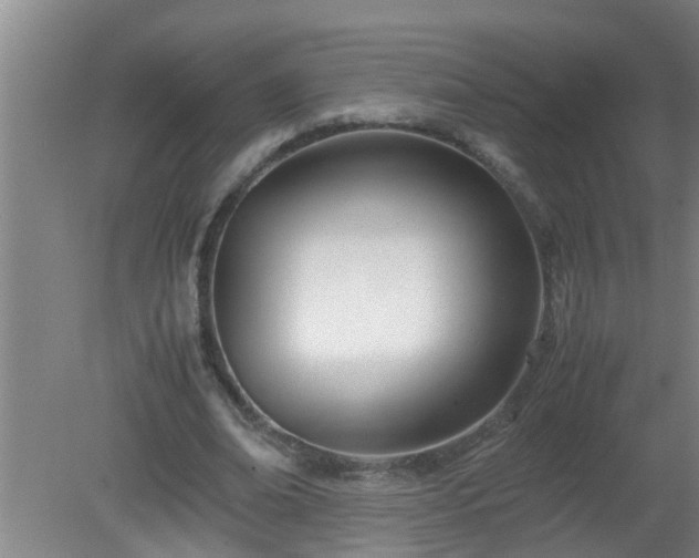 X0000080170678200612151923