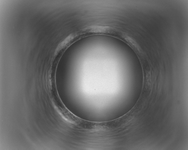 X0000080170682200612151923