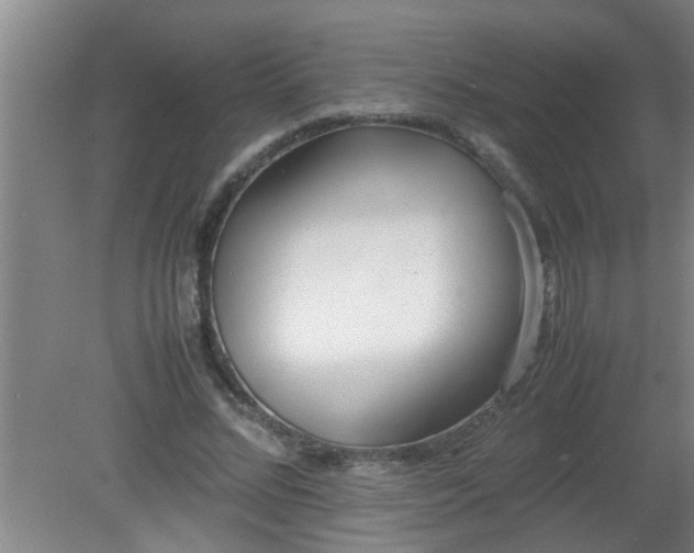X0000080170684200612151923