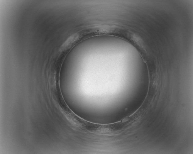 X0000080170685200612151923