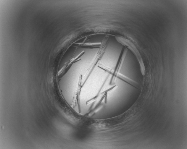 X0000080170687200612151923