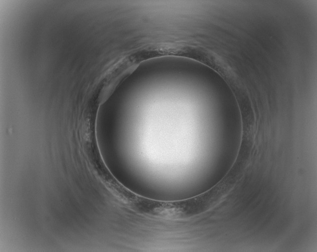 X0000080170689200612151923