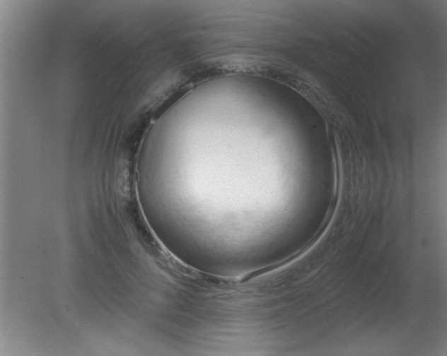 X0000080170696200612151923